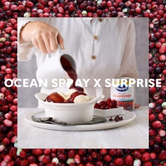 Sốt Nam Việt Quất Nguyên Trái Ocean Spray Whole Berry Cranberry Sauce, Hộp 397g (14 Oz.)