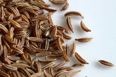 Bột Thì Là (Tiểu Hồi) Fennel Powder Atlas Garden, Lọ 65g