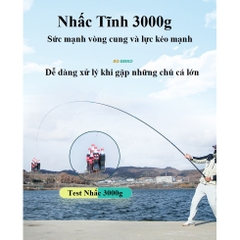 Cần Câu Tay 6H BiQuan Hổ Chiến Chuyên Dụng Câu Đài Bảo Hành Chính Hãng CC16