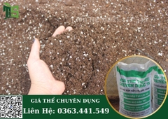 Bao 50Lít Giá Thể Trồng Cây Chuyên Dụng TS