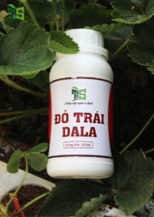 Đỏ Trái DALA/ Chai 250ML