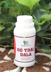 Đỏ Trái DALA/ Chai 250ML