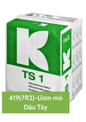 Giá Thể Klasmann TS