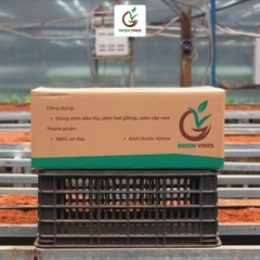 Viên nén xơ dừa ươm cây thùng 1000 viên