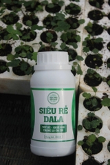 Siêu Rễ DaLa