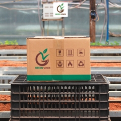 Viên nén xơ dừa ươm cây thùng 1000 viên