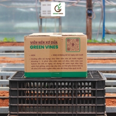 Viên nén xơ dừa ươm cây thùng 1000 viên