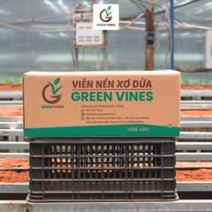 Viên nén xơ dừa ươm cây thùng 1000 viên