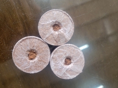 80 viên nén xơ dừa ươm ngó dâu tây, ươm hạt giống size 42mm
