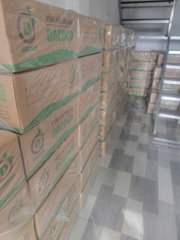 20 viên nén xơ dừa ươm ngó dâu tây, ươm hạt giống size 42mm