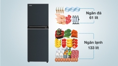 Tủ lạnh Toshiba Inverter 194 Lít GR-RT252WE-PMV(52)
