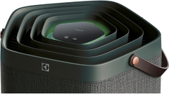 Máy lọc không khí Electrolux 41W PA91-606DG