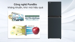 Tủ lạnh Toshiba Inverter 194 Lít GR-RT252WE-PMV(52)