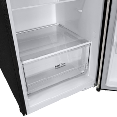 Tủ lạnh LG Inverter 264 Lít GV-D262BL