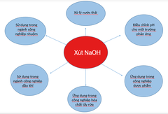 Natri hydroxit - NaOH - TQ - AR - 500g