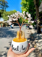 Cây Đá Tài Lộc Bình An Mini 20cm
