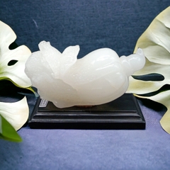 Bắp cải Tài lộc phong thủy