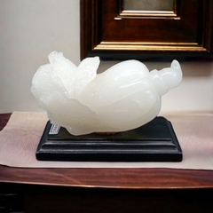 Bắp cải Tài lộc phong thủy