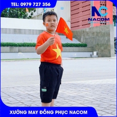 Áo thun cờ đỏ sao vàng