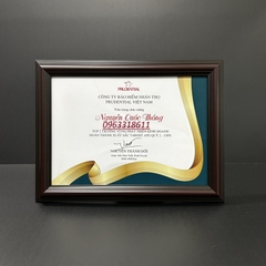 Khung Bằng Khen Nâu Cổ Điển 1245