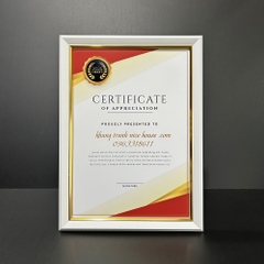 Khung Bằng Khen Màu Trắng Trơn Đơn Giản 200T