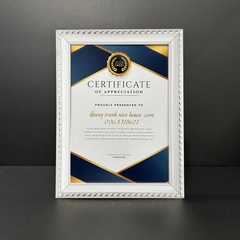 SALE OFF Khung Bằng Khen 329TB 20 X 30