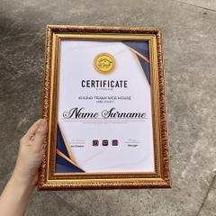Khung Bằng Khen Vàng Đồng 366V