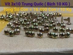 Đinh Vít 3x10 loại tốt