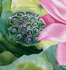 Tranh màu nước hoa sen