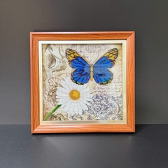 KHUNG TRANH KẾT HẠT CƯỜM CVG F1B