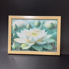 KHUNG TRANH ĐÍNH ĐÁ F2GN