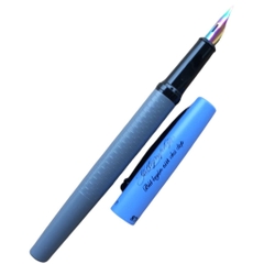Bút máy luyện viết chữ đẹp ngòi tách đôi calligraphy 876