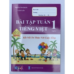 Sách - Bài tập tuần và Đề kiểm tra toán và tiếng việt lớp 1 học kỳ 1 Kết nối tri thức với cuộc sống