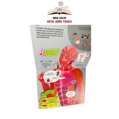 Sách tương tác - Big book Cuốn sách khổng lồ về cơ thể người