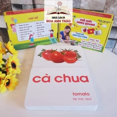 Bộ thẻ thông minh Flashcard Thế giới xung quanh Việt Hà phương pháp Glenn Doman
