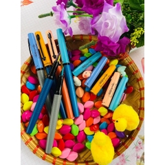Bút máy luyện viết chữ đẹp ngòi tách đôi calligraphy 876