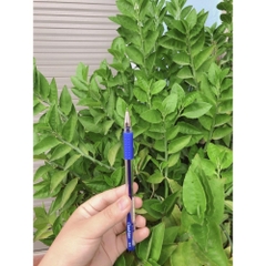 Bút gel , Bút bi nước classmate  CL-GP101 xanh/Đen/Tím/Đỏ