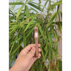 Bút gấu leta 001,bút máy ngòi mài luyện chữ đẹp nét thanh đậm