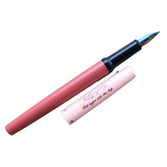 Bút máy luyện viết chữ đẹp ngòi tách đôi calligraphy 876