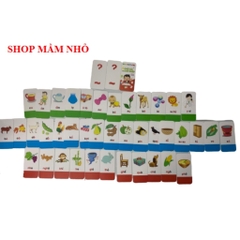 Bộ thẻ chữ cái chữ ghép Tiếng việt