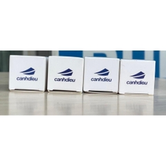 Mực Viết Máy Cánh Diều 15ml Nhanh Khô