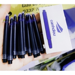 Hộp 10 Ống Mực Nhanh Khô Và Phổ Thông Cánh Diều 1,3ml ( Loại 1 Đầu Cắm )