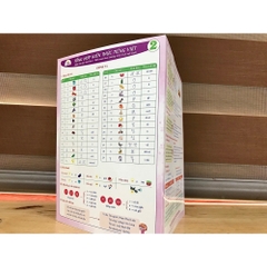 Sổ tổng hợp KT toán - Tiếng Việt tiểu học