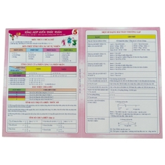 Sổ tổng hợp KT toán - Tiếng Việt tiểu học
