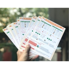 Sổ tổng hợp KT toán - Tiếng Việt tiểu học