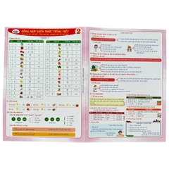 Sổ tổng hợp KT toán - Tiếng Việt tiểu học
