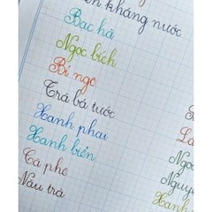 Mực Viết Máy Cánh Diều 15ml - Mực bút máy nhanh khô không lắng cặn