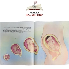 Combo 4 Sách - Giáo dục giới tính và nhân cách dành cho bé gái