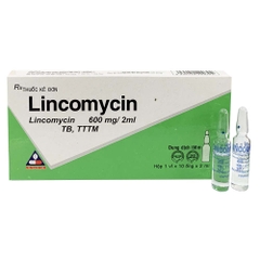 Lincomicin 600mg/2ml -Vinphaco