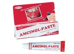 Amcinol Paste - Mekophar